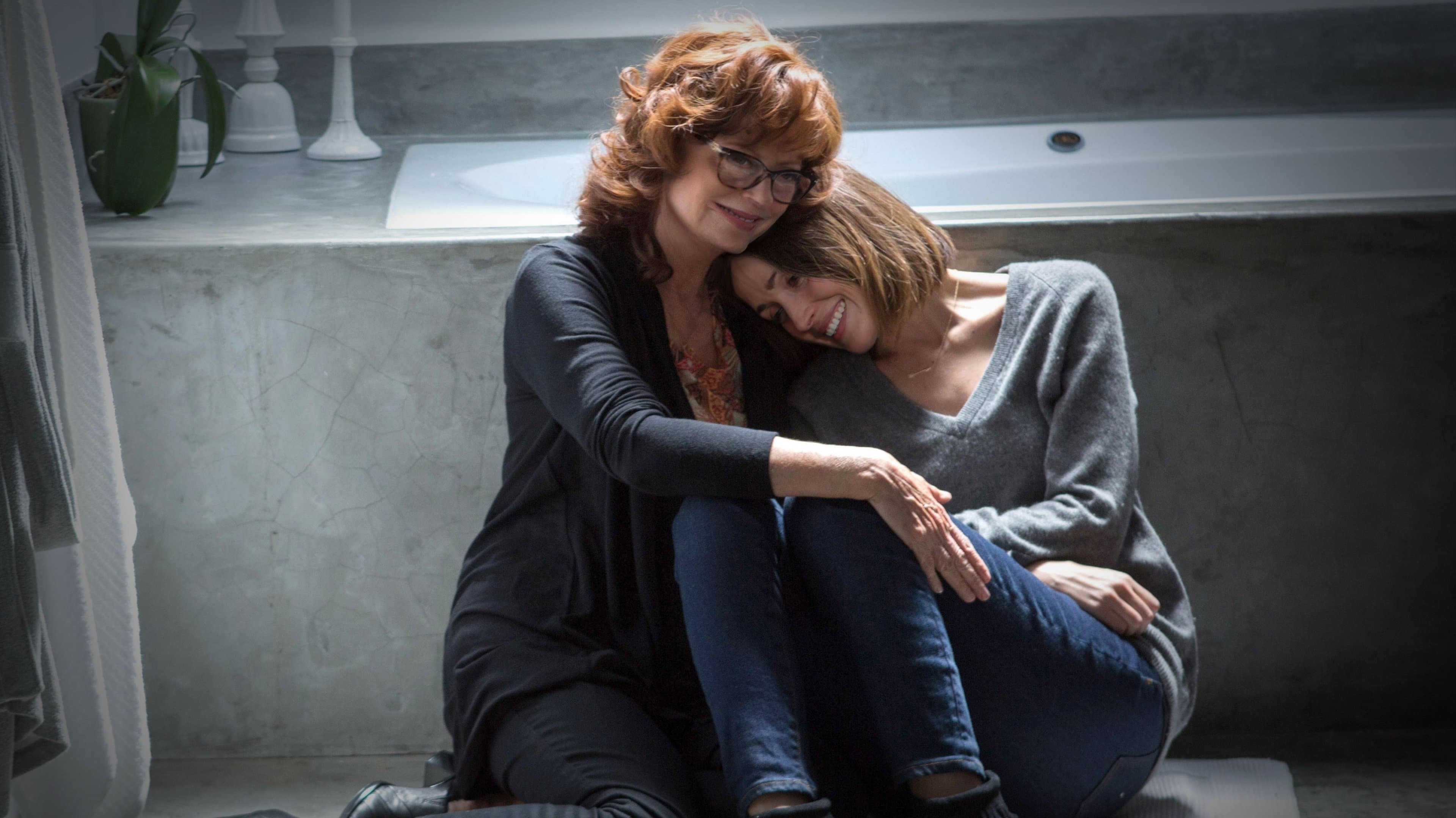 The Meddler - immagine
