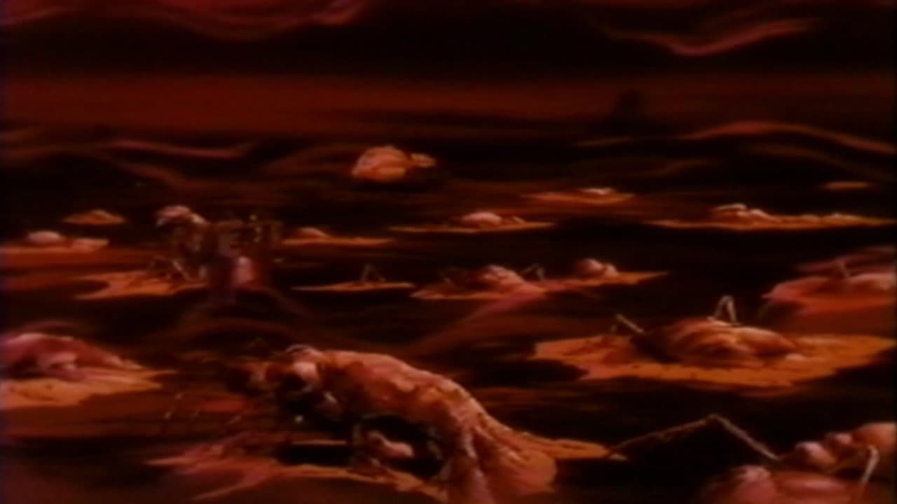 Hell Target - immagine