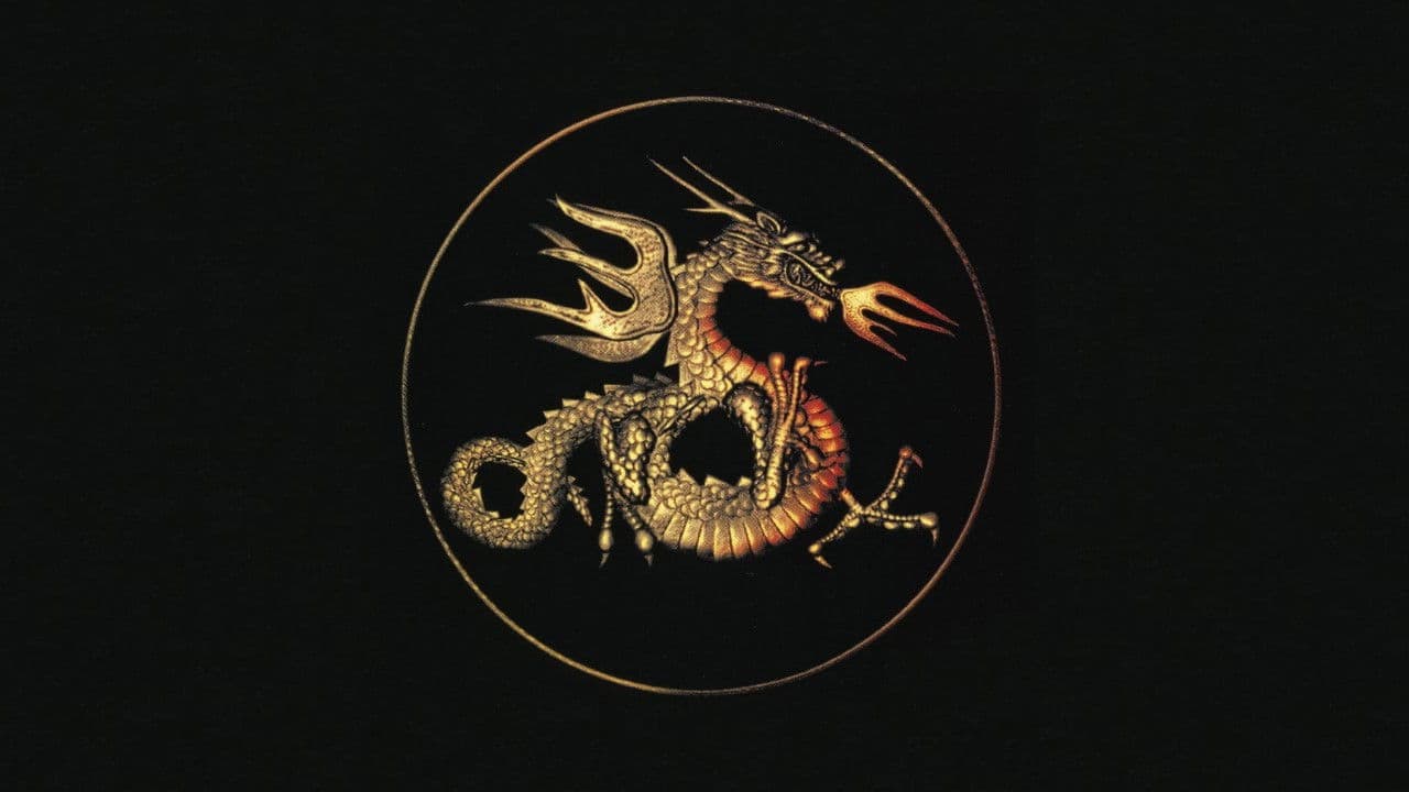 Kiss of the Dragon - immagine