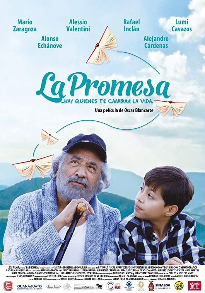 Poster di La promesa