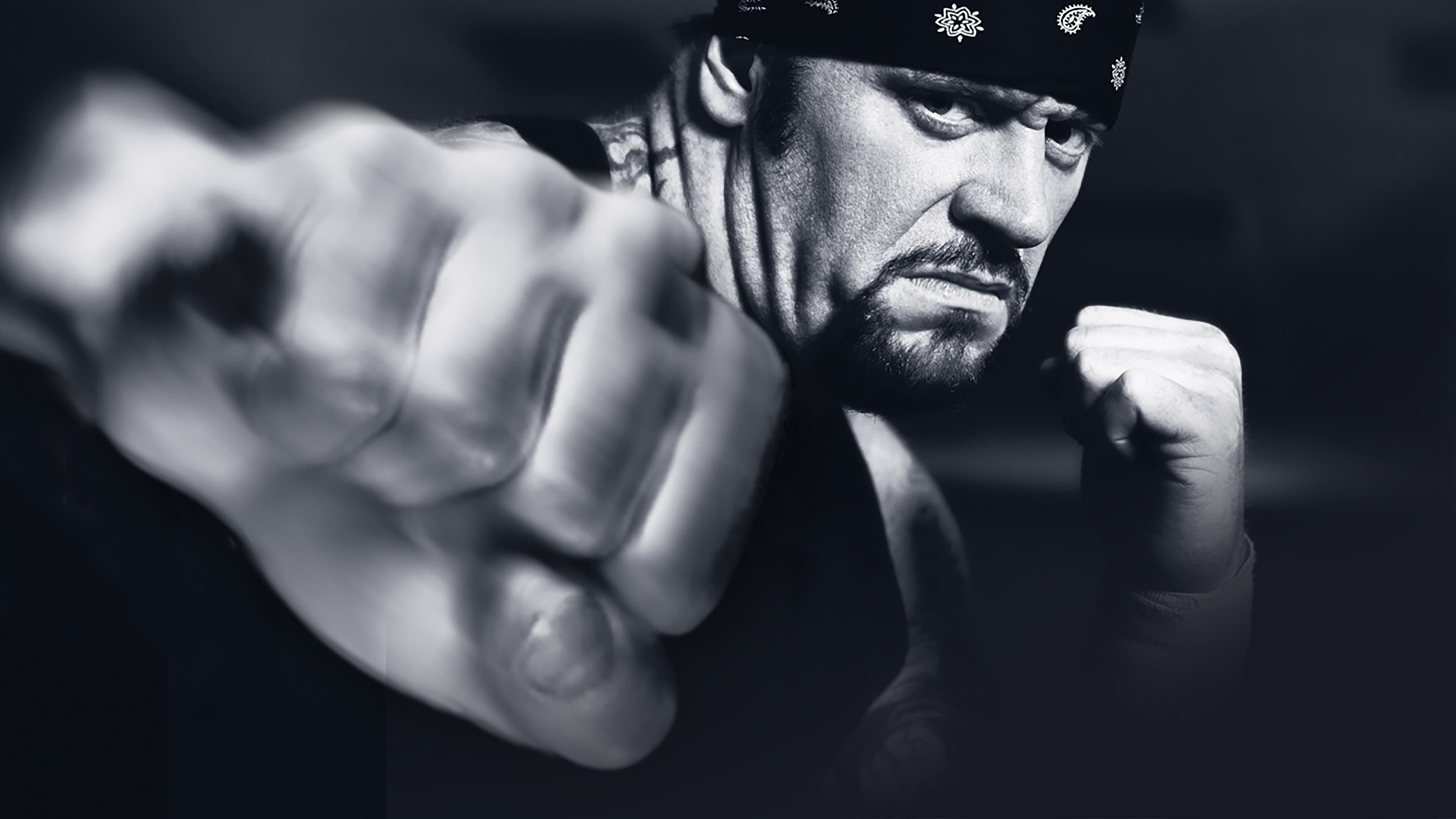 WWE Vengeance 2003 - immagine