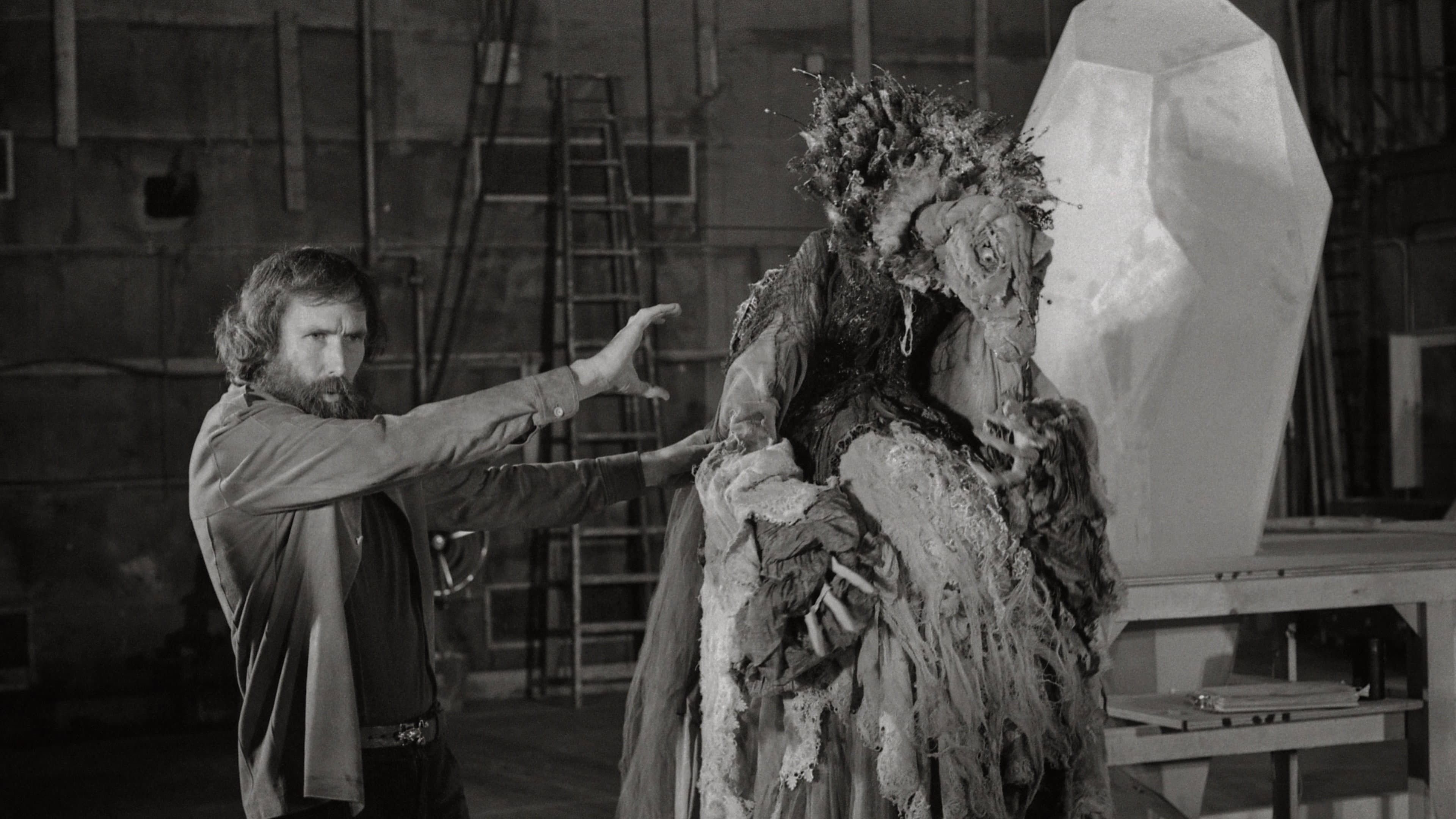 Jim Henson Idea Man - immagine