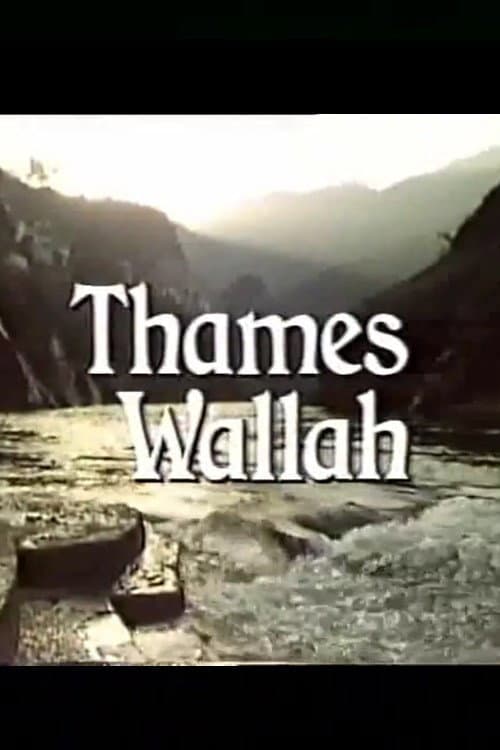 Poster di Thames Wallah