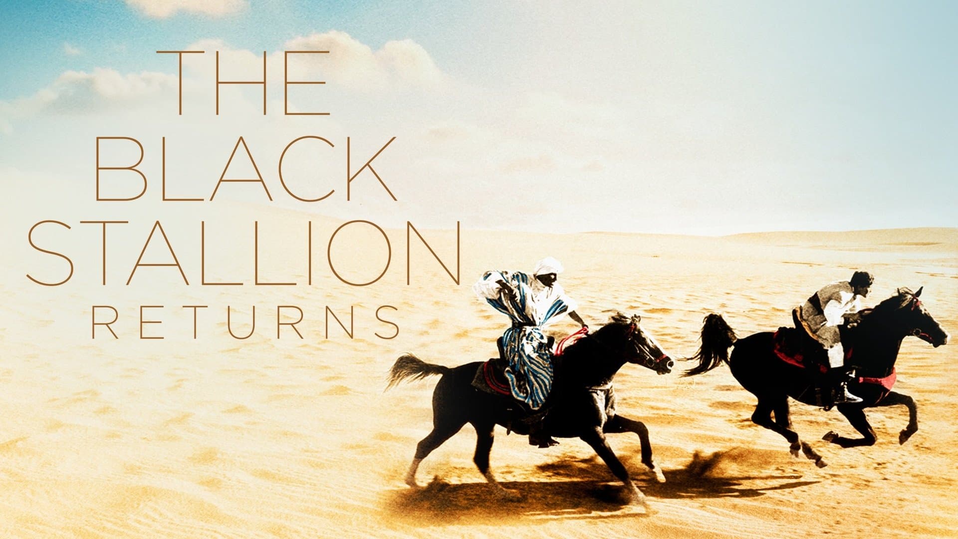 Il ritorno di Black Stallion - immagine