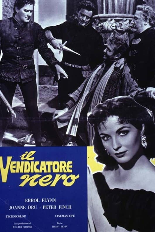 Poster di Il vendicatore nero