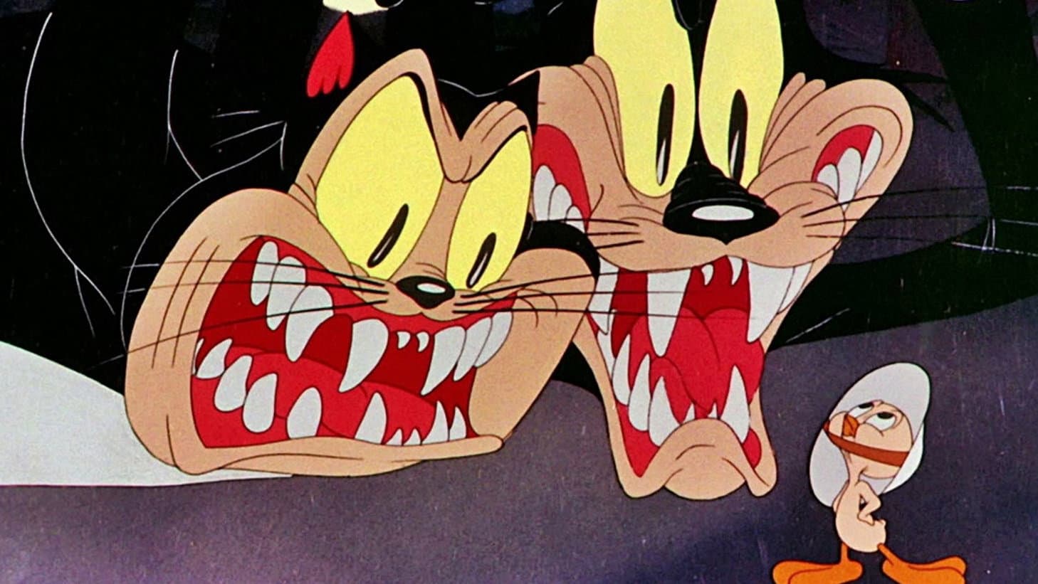 Due gatti contro Titti - immagine