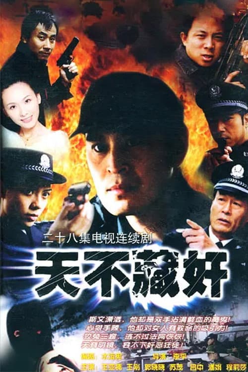 Poster di 天不藏奸