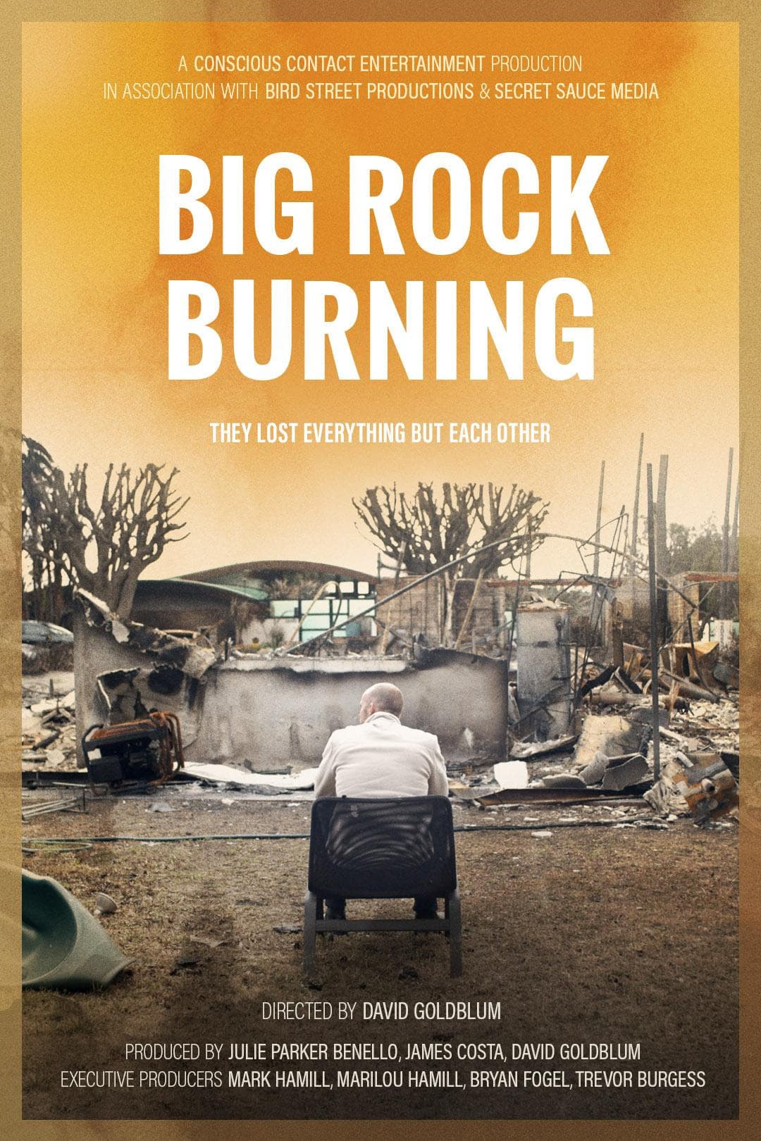 Poster di Big Rock Burning