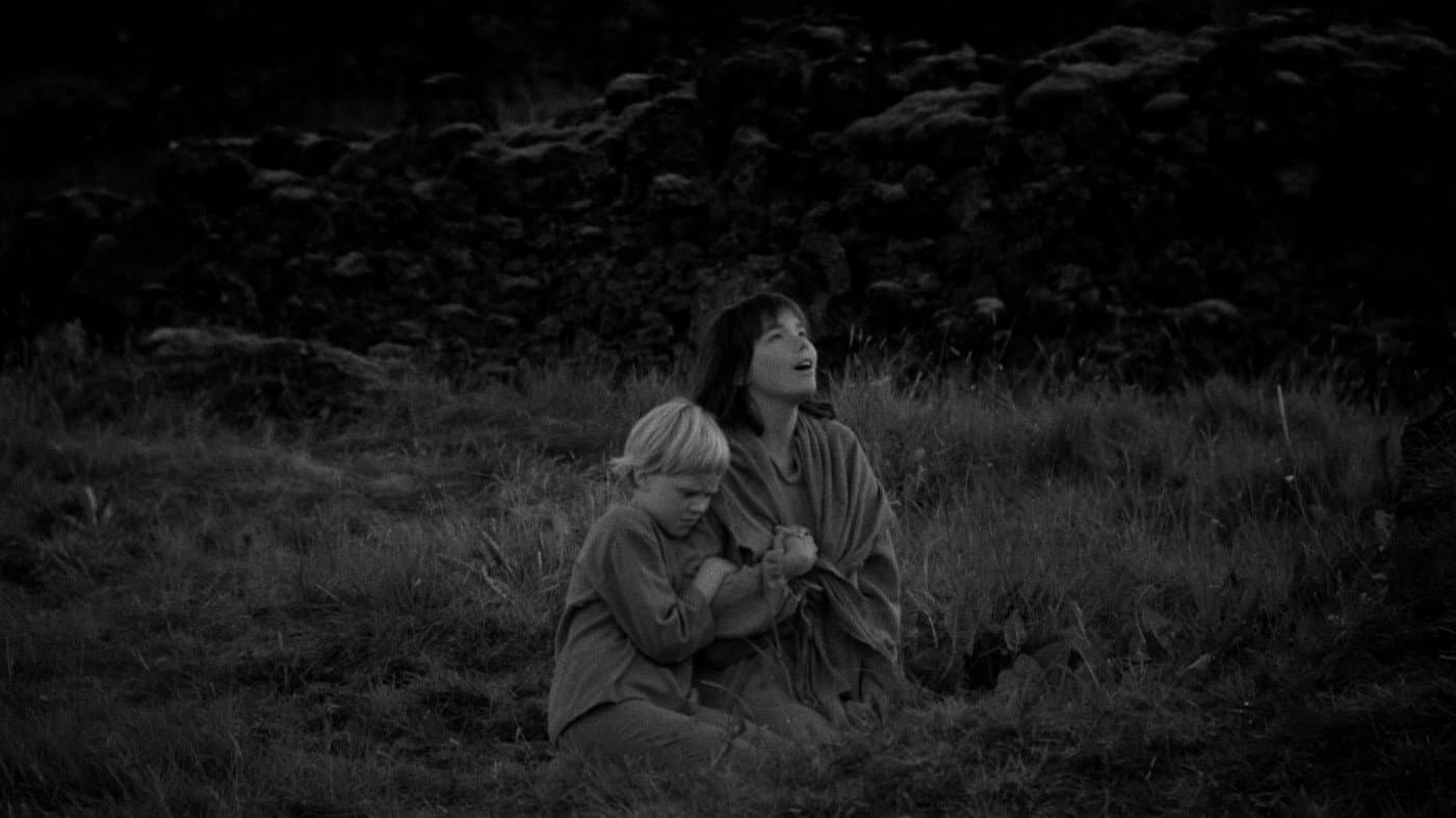 The Juniper Tree - immagine