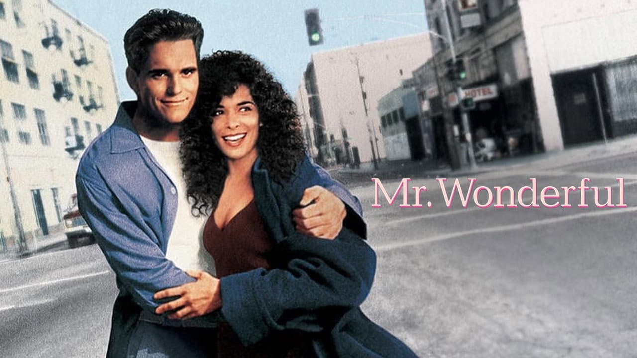 Mr. Wonderful - immagine