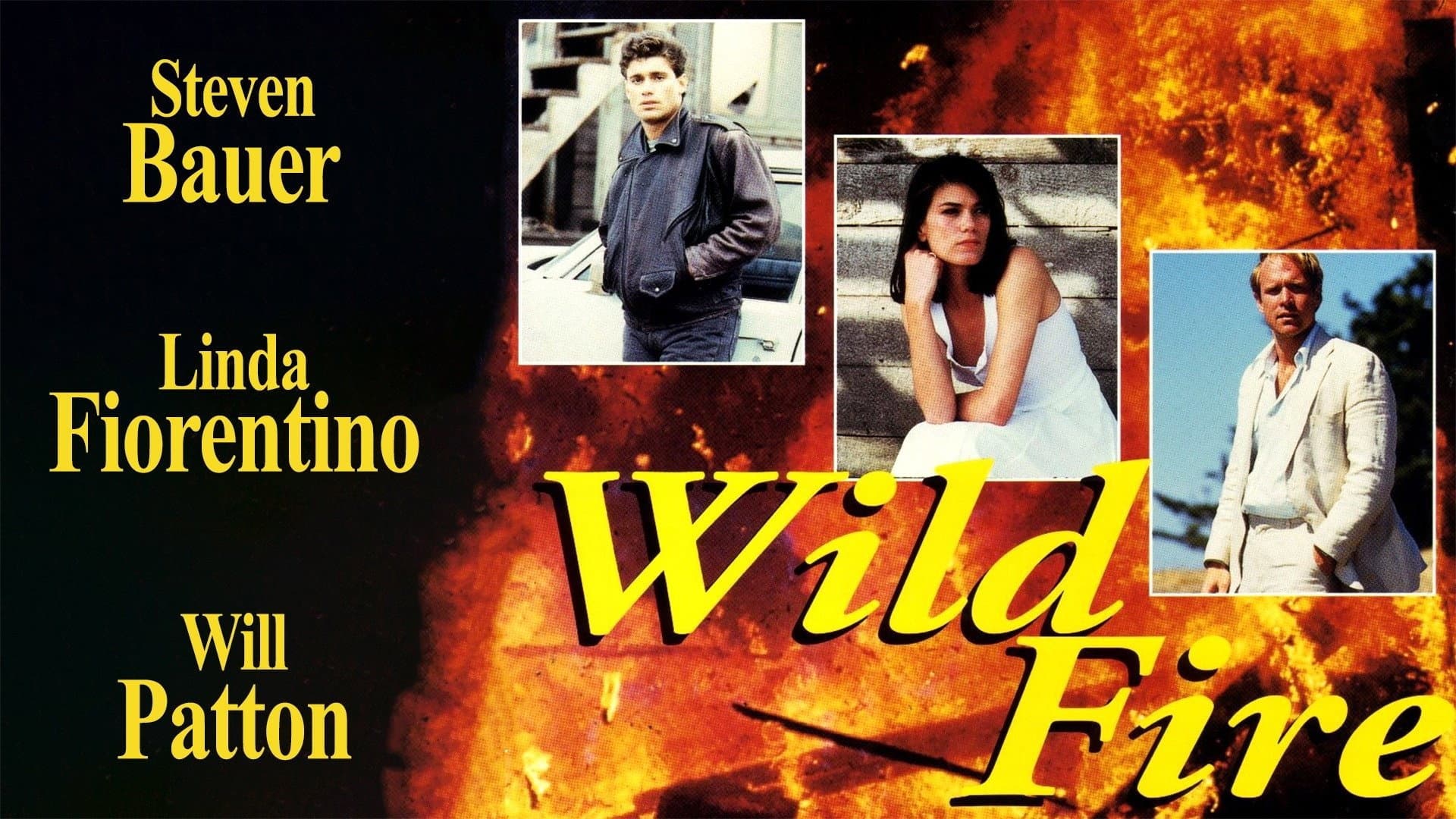 Wildfire - All'improvviso un maledetto amore - immagine