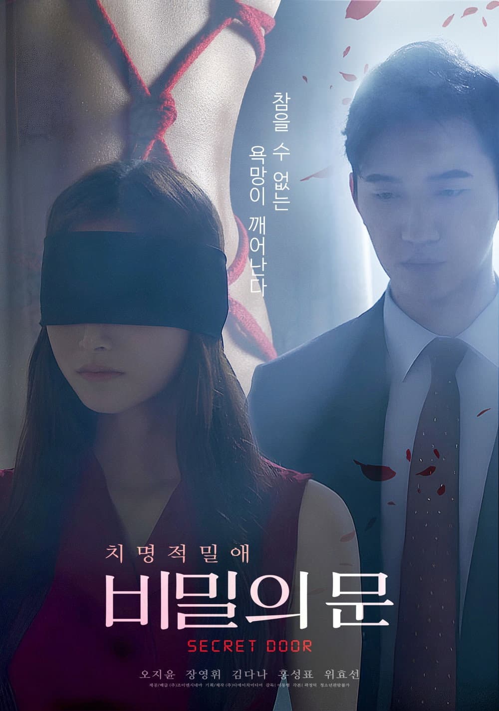 Poster di 비밀의 문