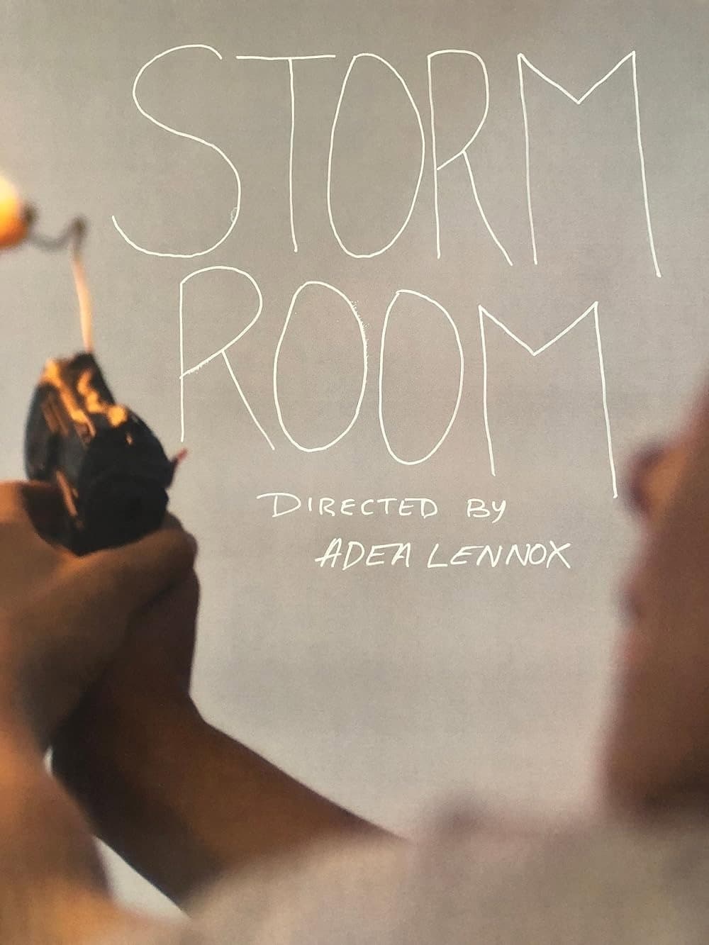 Poster di Storm Room