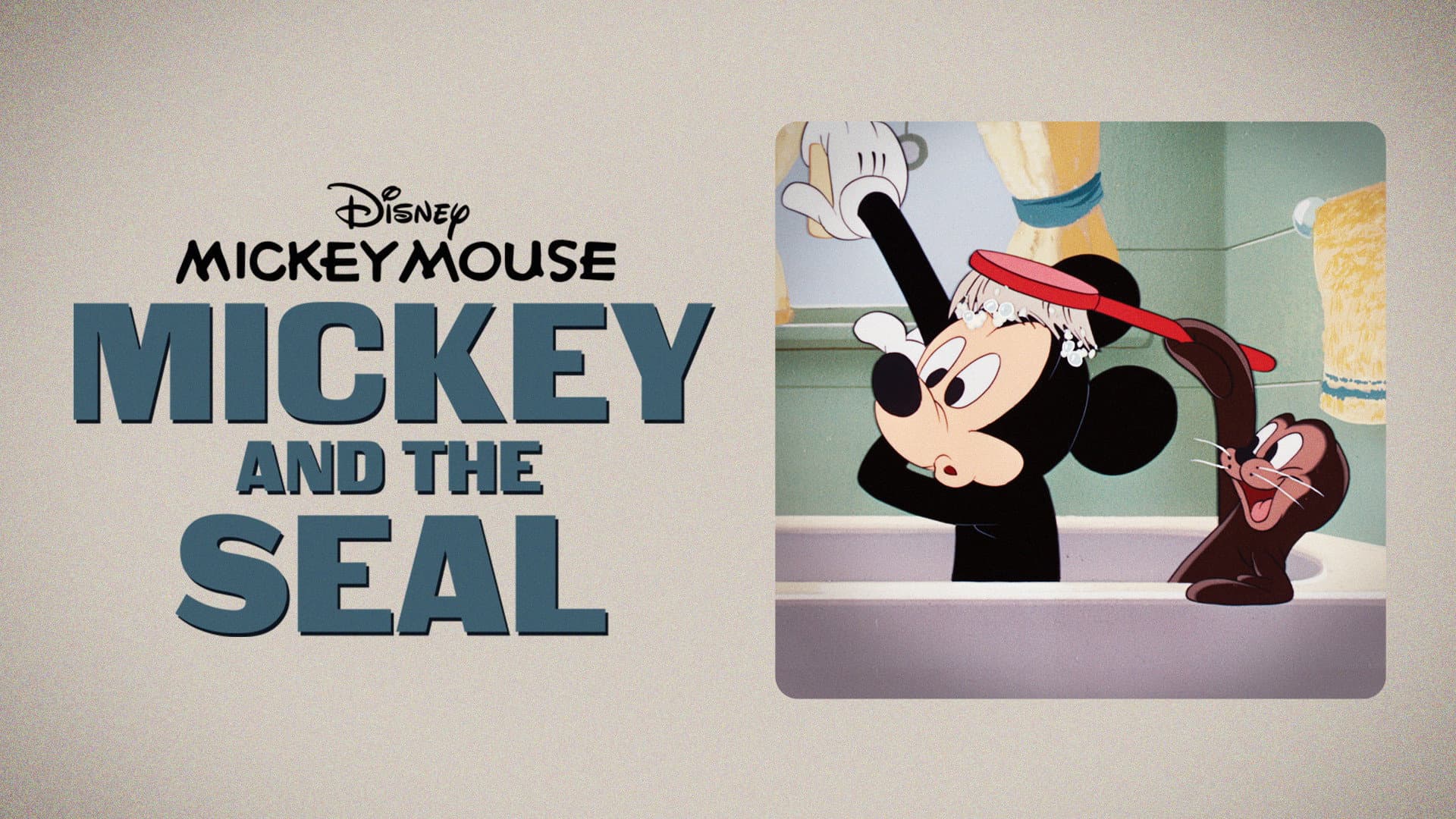 Topolino e la foca - immagine