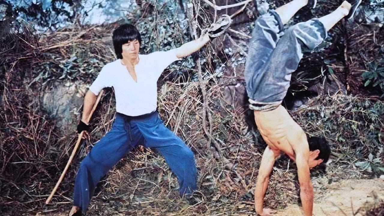 Mad Monkey Kung Fu - immagine