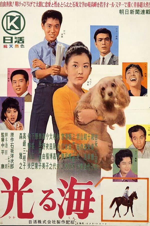 Poster di 光る海