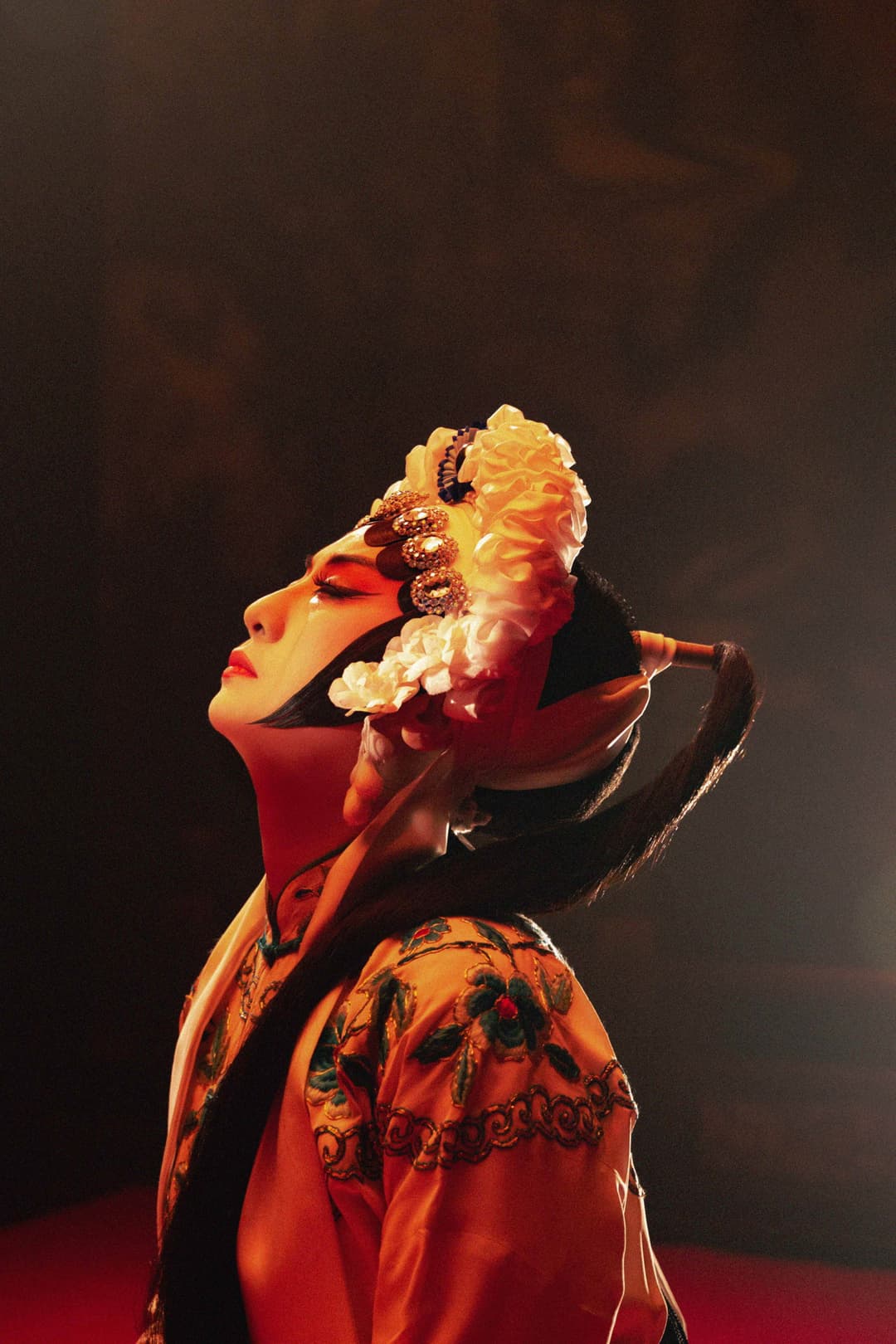 Poster di 百花公主