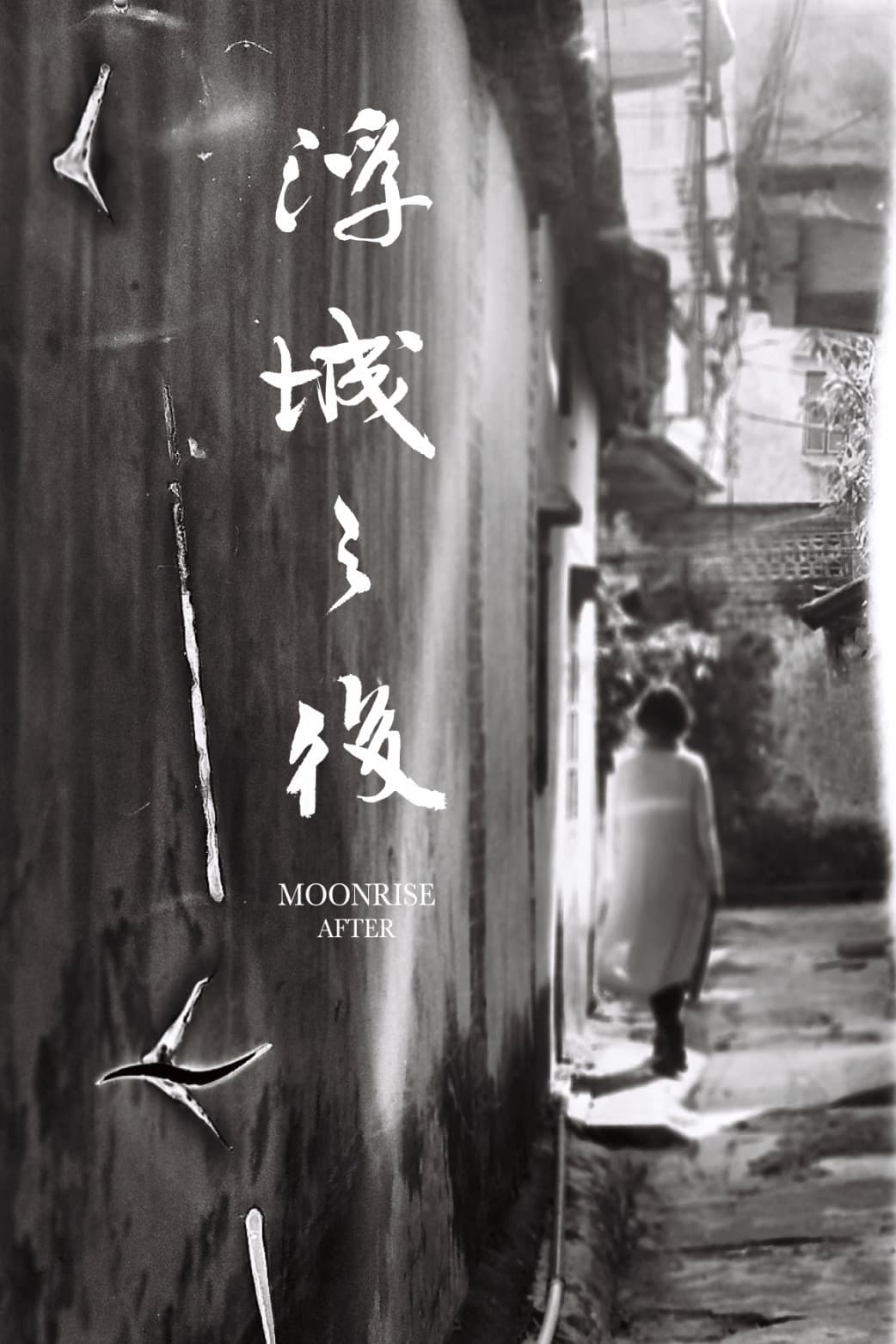 Poster di 浮城之後