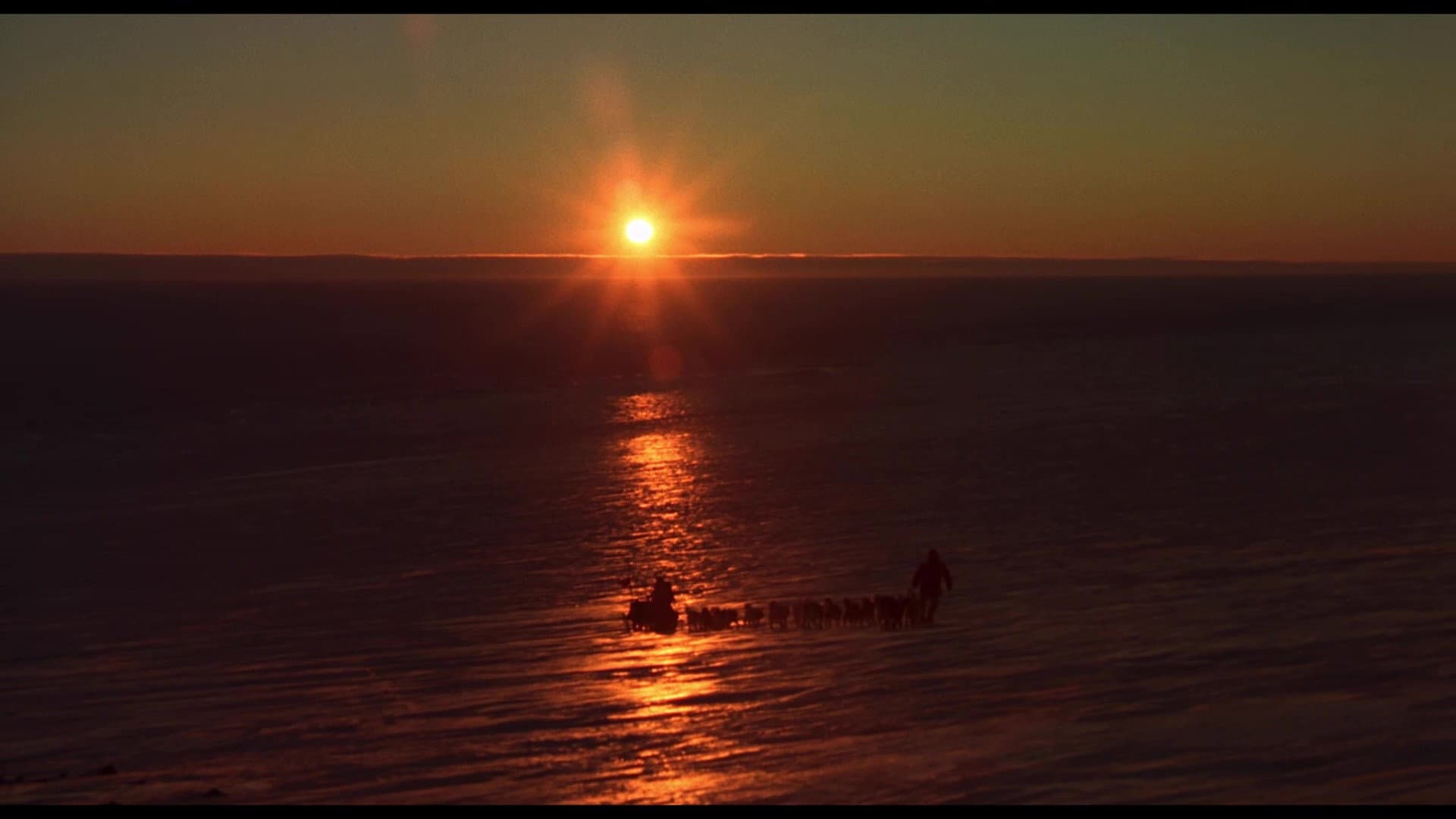 Antarctica - immagine
