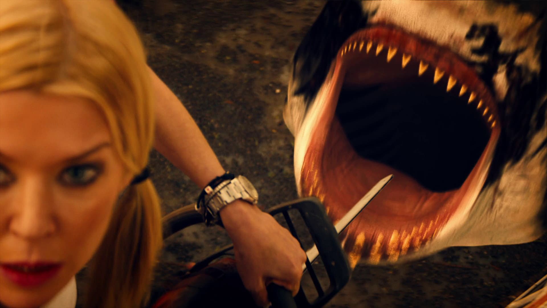 Trailer Park Shark - immagine