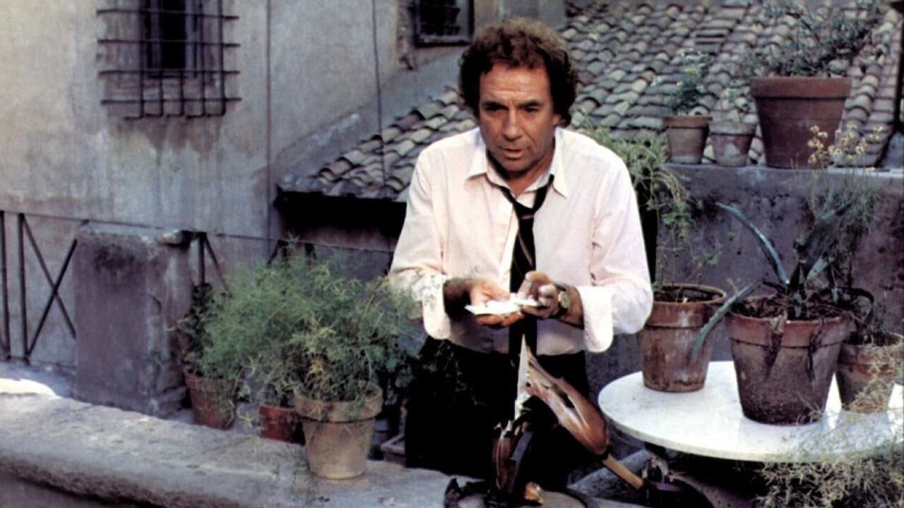 Il gatto - immagine
