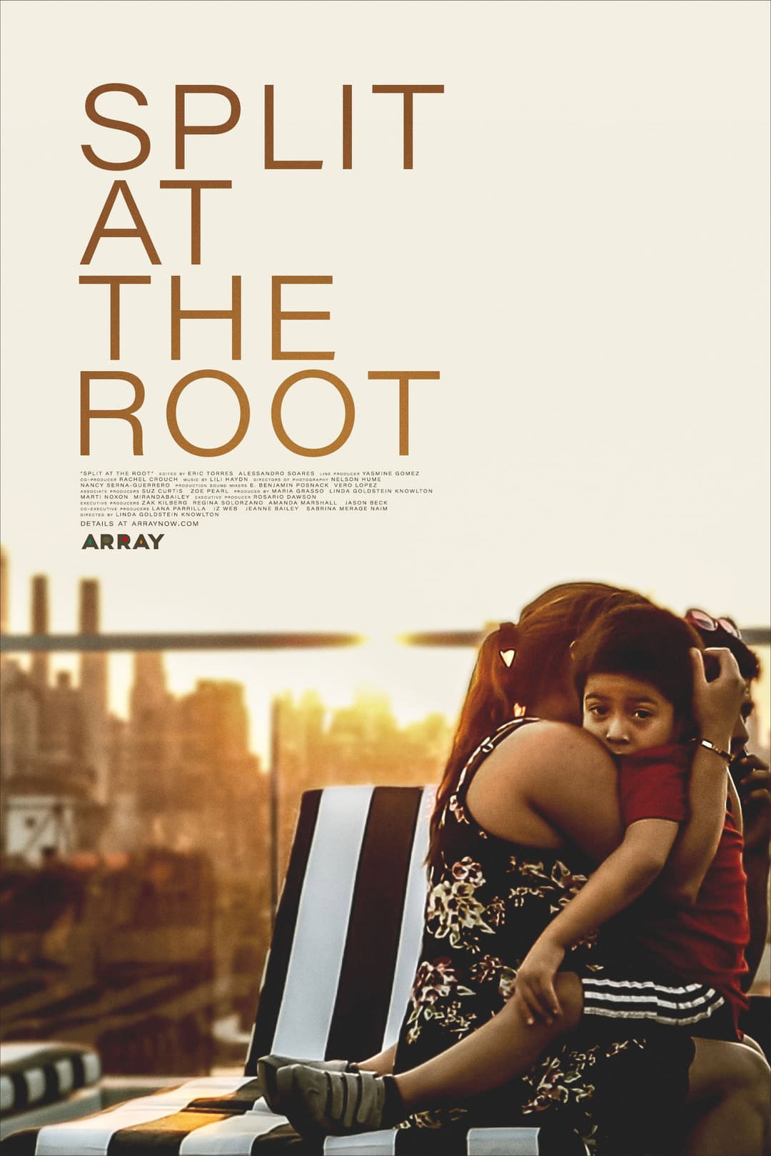 Poster di Split at the Root