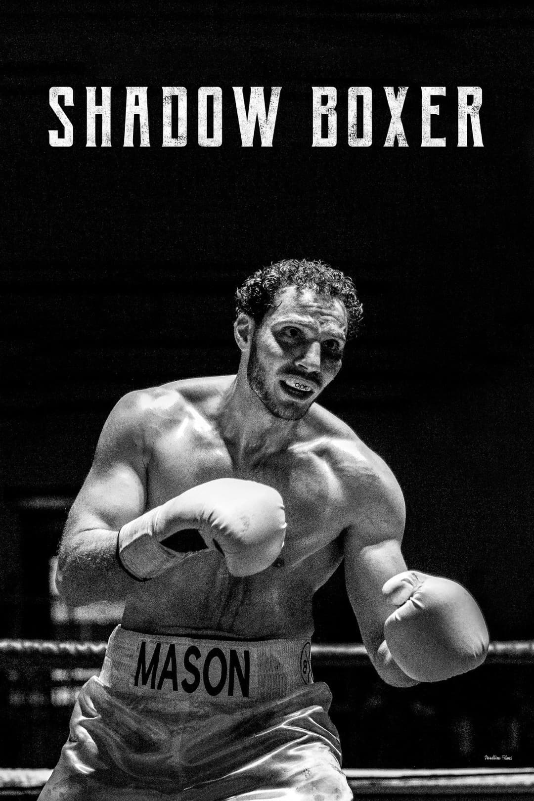 Poster di Shadow Boxer