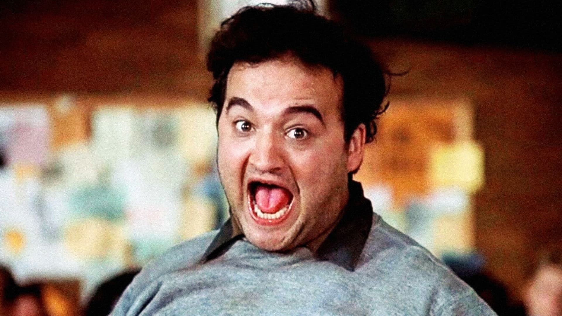 Animal House - immagine