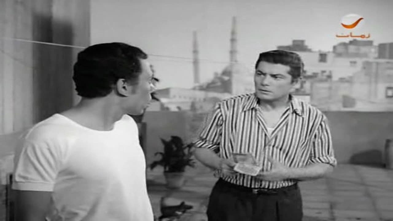 بنات في الجامعة - immagine