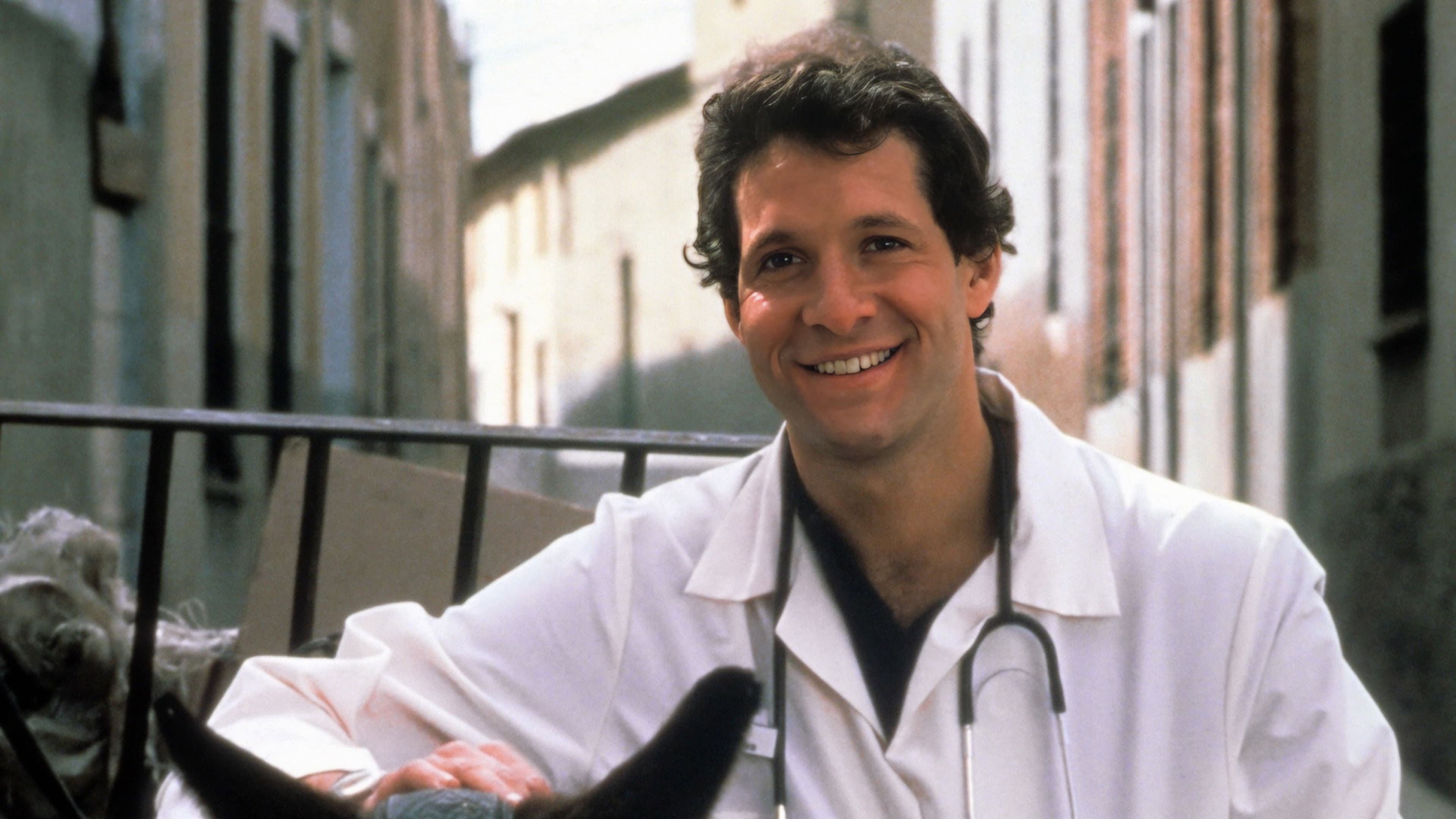 Facoltà di medicina - immagine