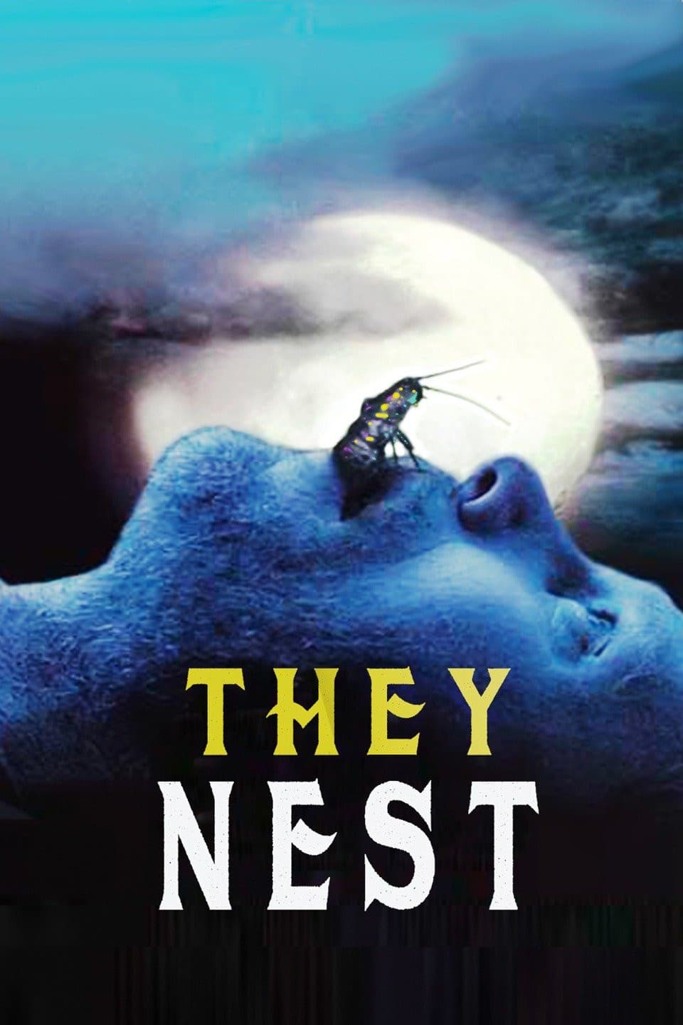 Poster di They Nest