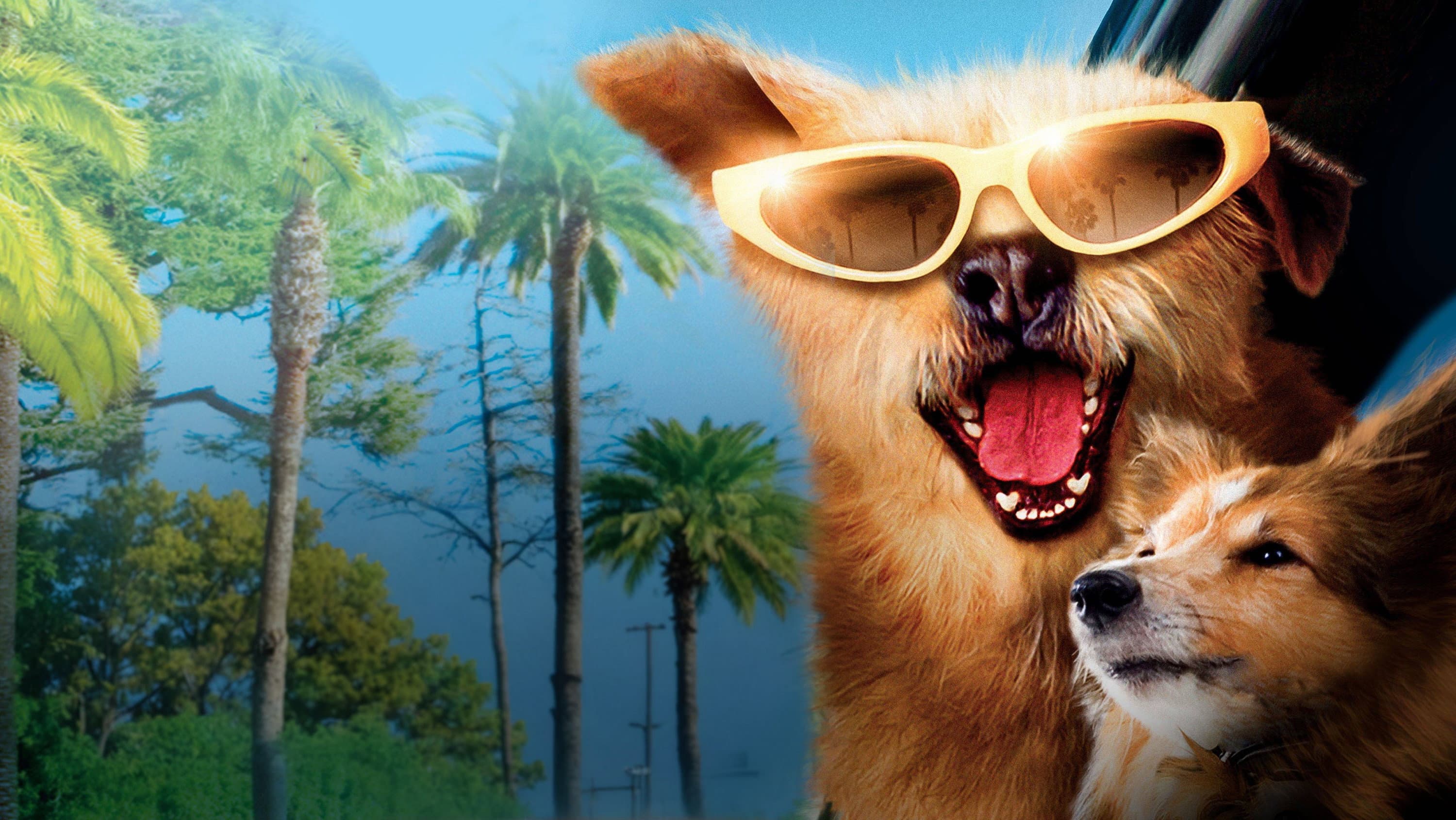 Il dottor Dolittle 5 - immagine