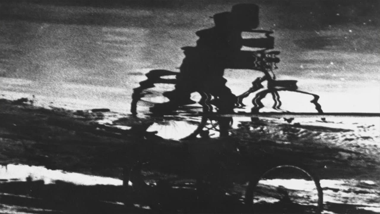 Boy and Bicycle - immagine