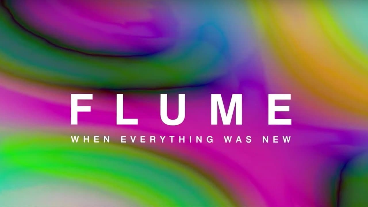 Flume: When Everything Was New - immagine