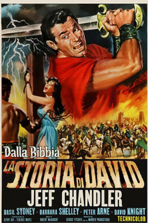 Poster di La storia di David