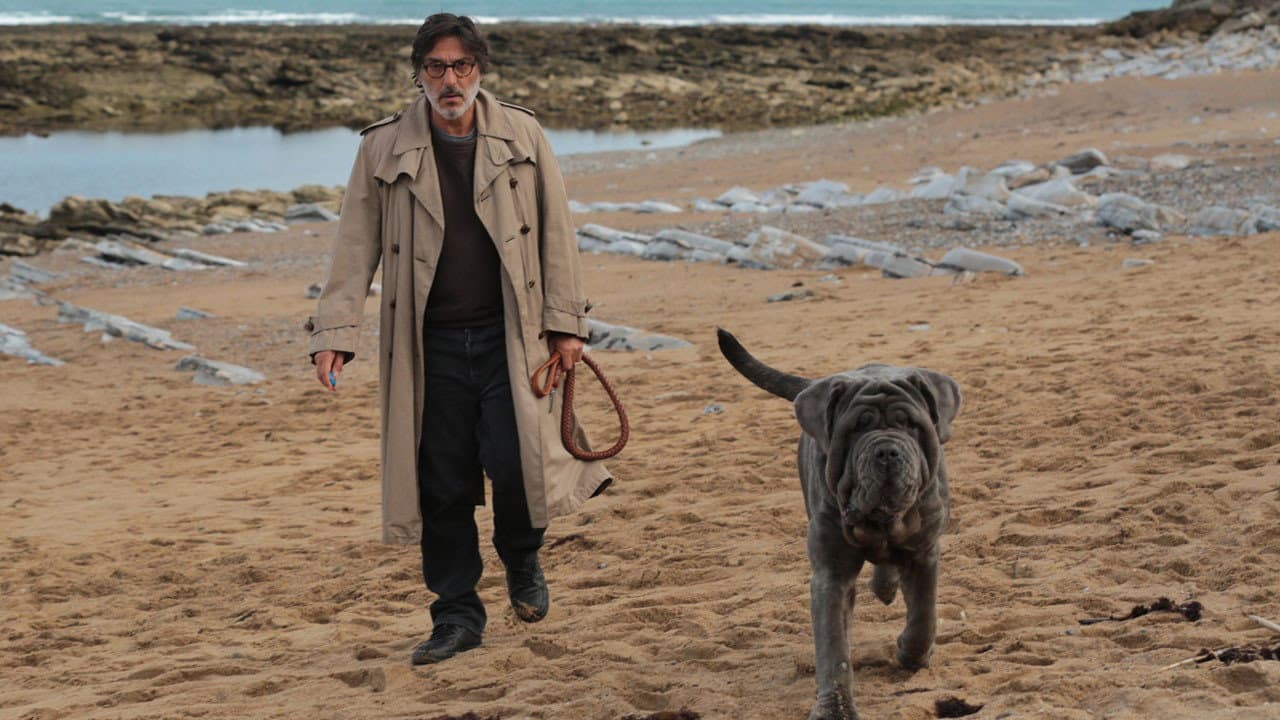 My Dog Stupid - Il mio cane Stupido - immagine