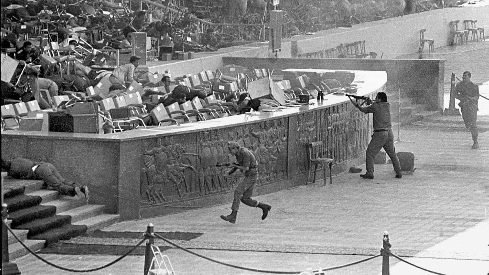 Why was Cairo Calm - immagine