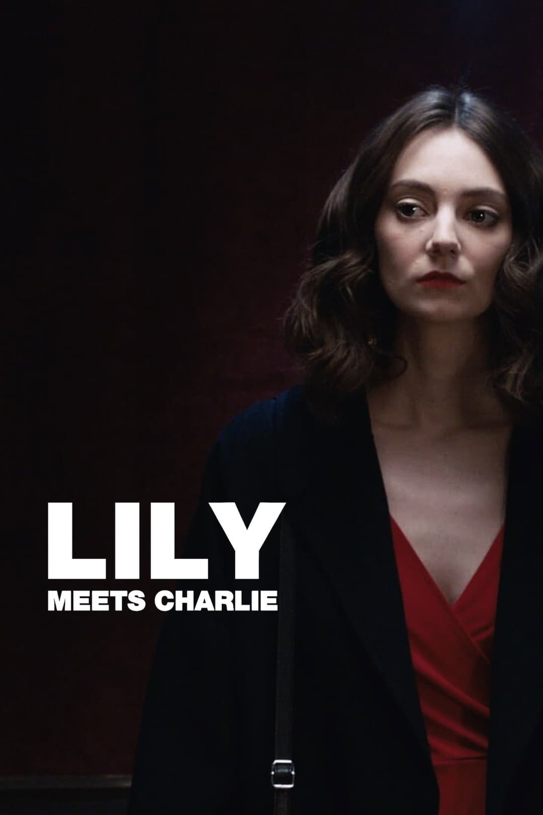 Poster di Lily Meets Charlie