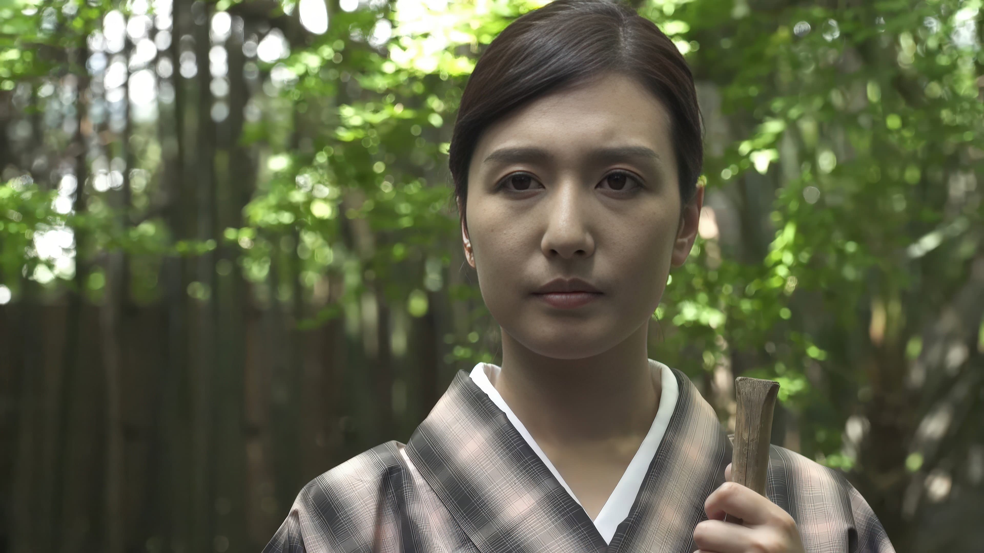 芸者2～GEISHA～ - immagine