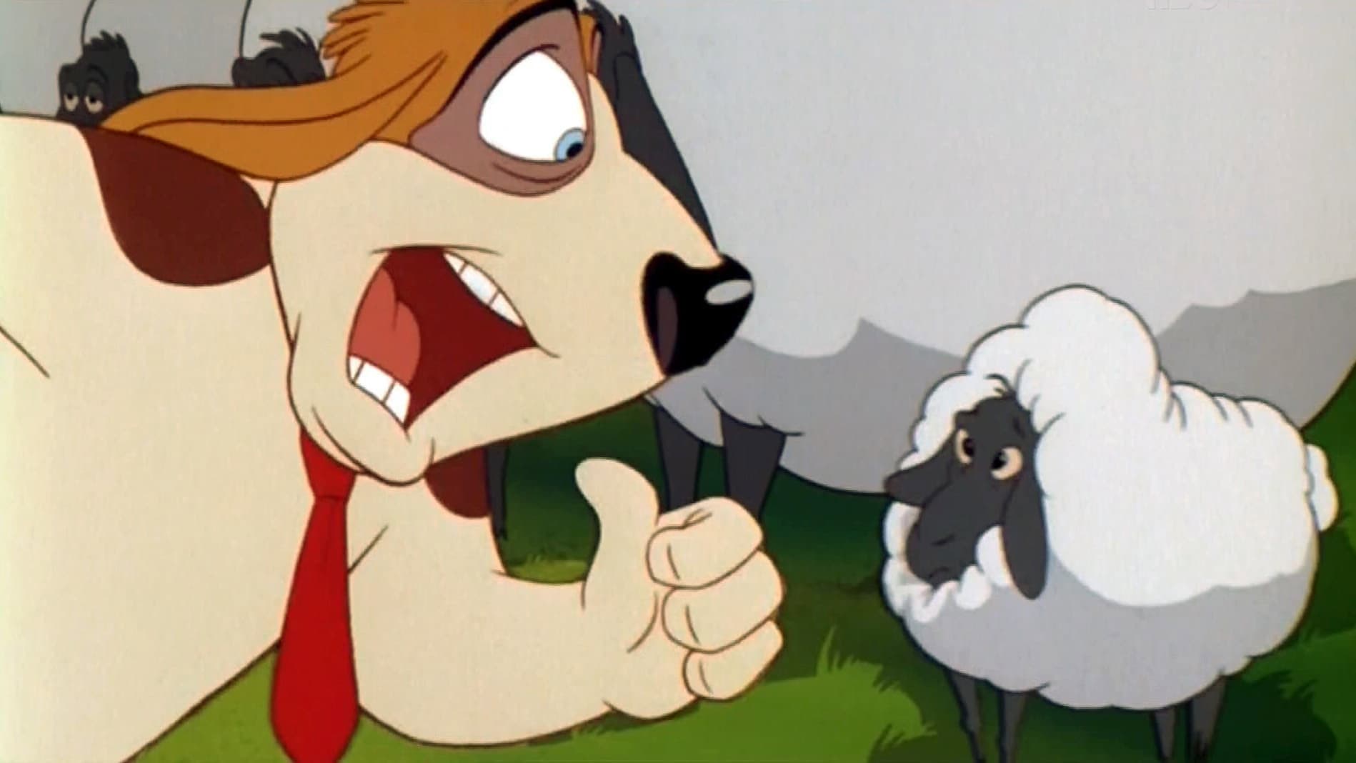 Rover e Daisy - immagine
