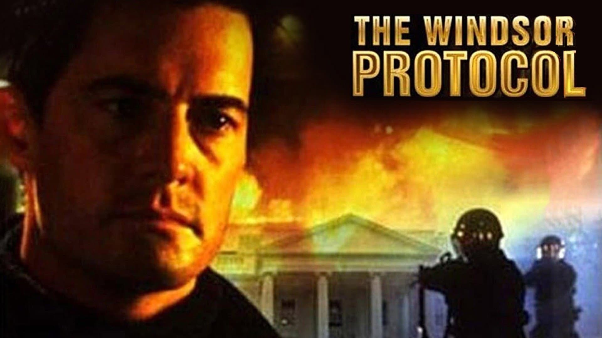 The Windsor Protocol - immagine