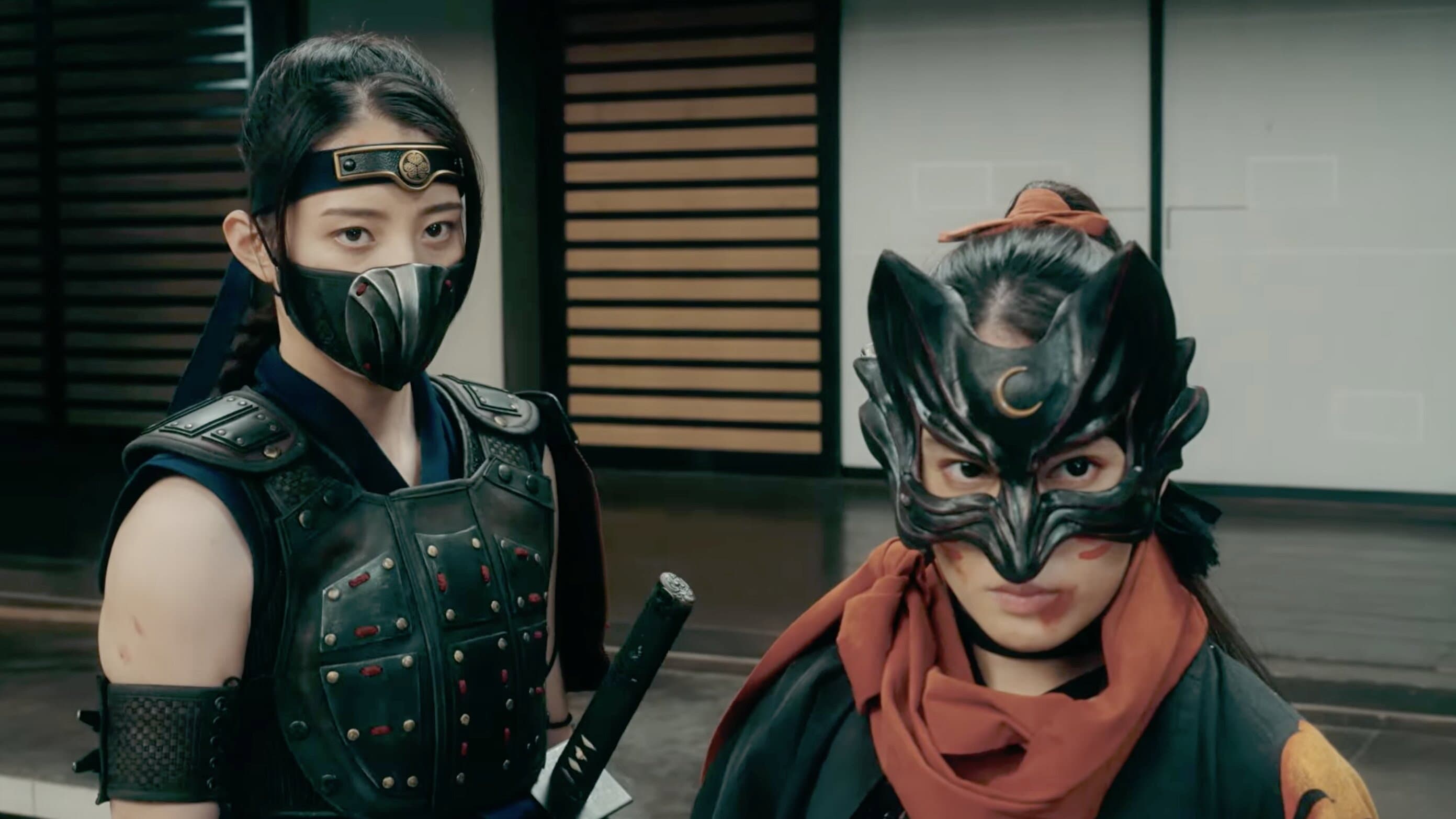 Ninja Wars: BlackFox vs Shogun's Ninja - immagine