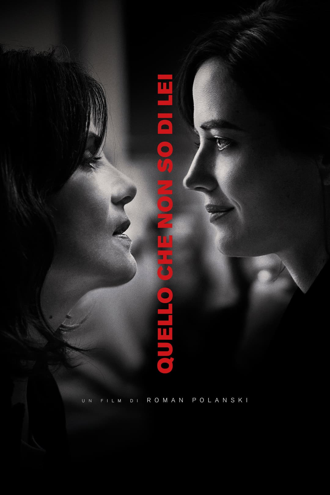 Poster di Quello che non so di lei