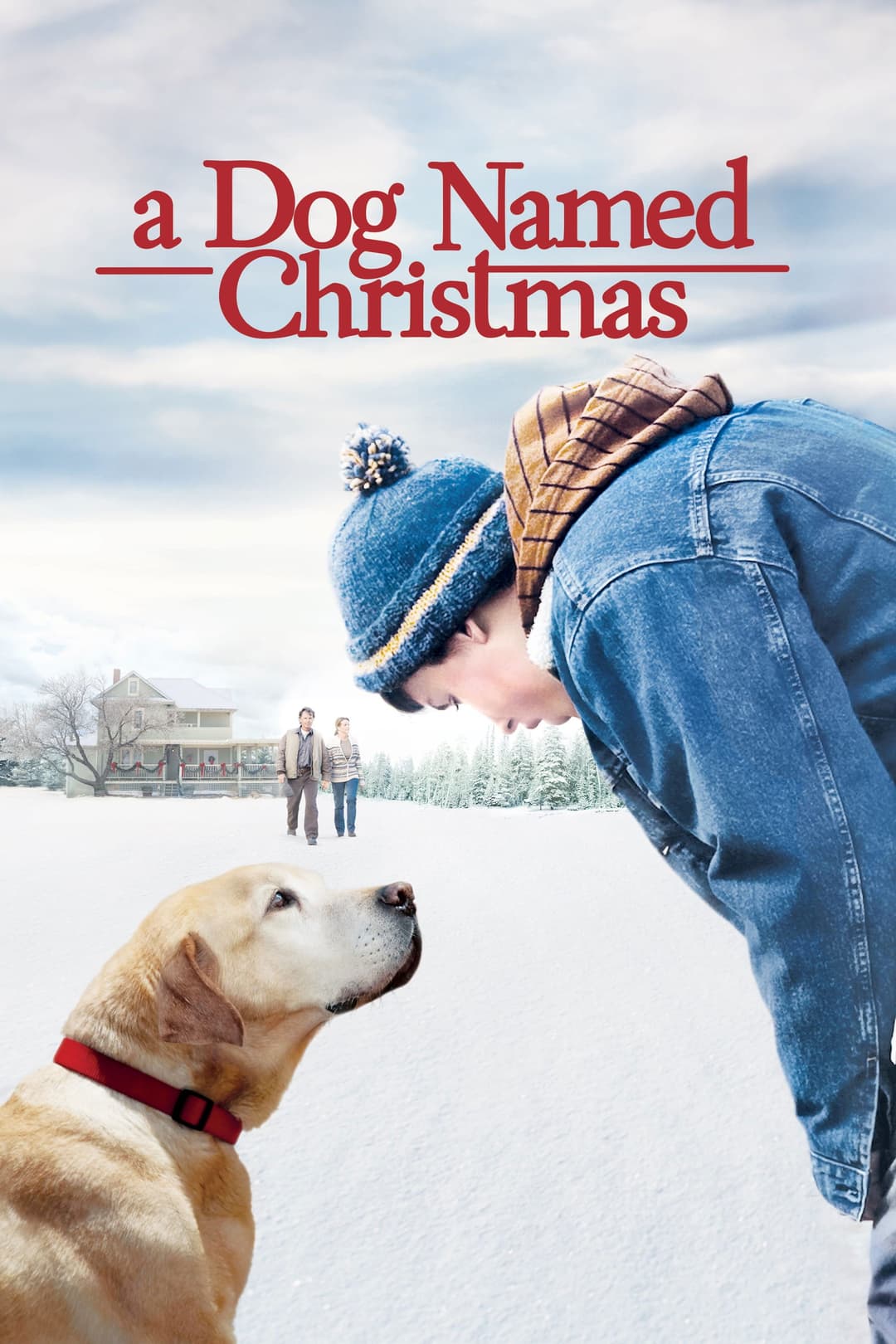 Poster di A Dog Named Christmas