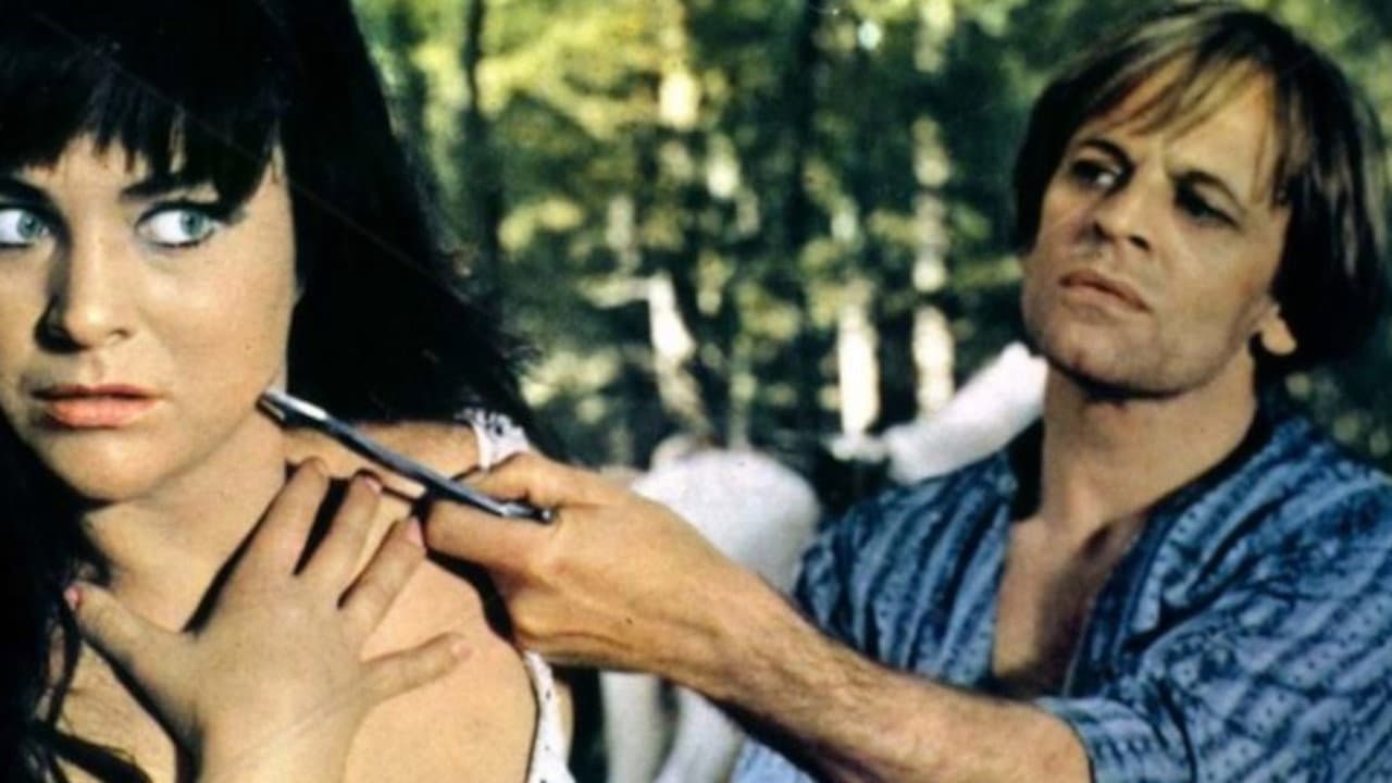 La Belva - immagine