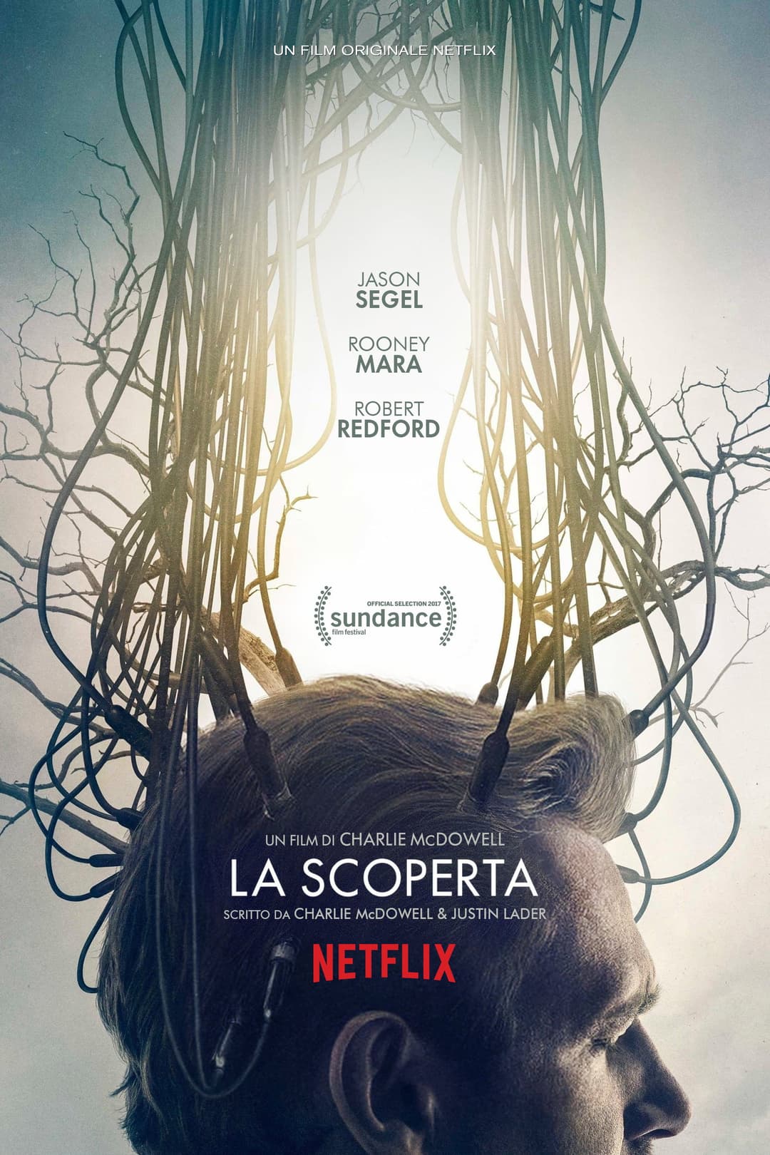 Poster di La scoperta