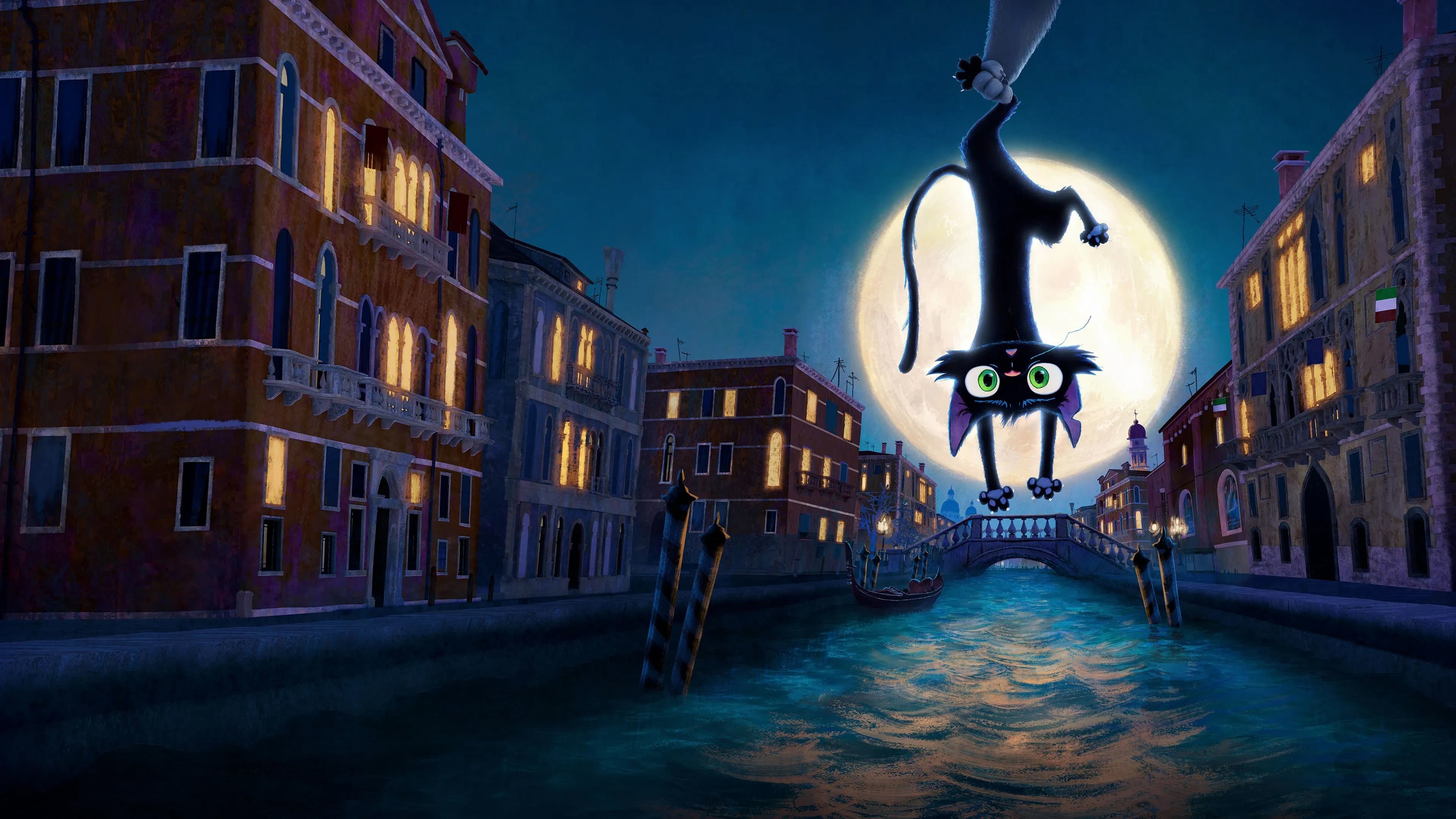 Gatto - immagine