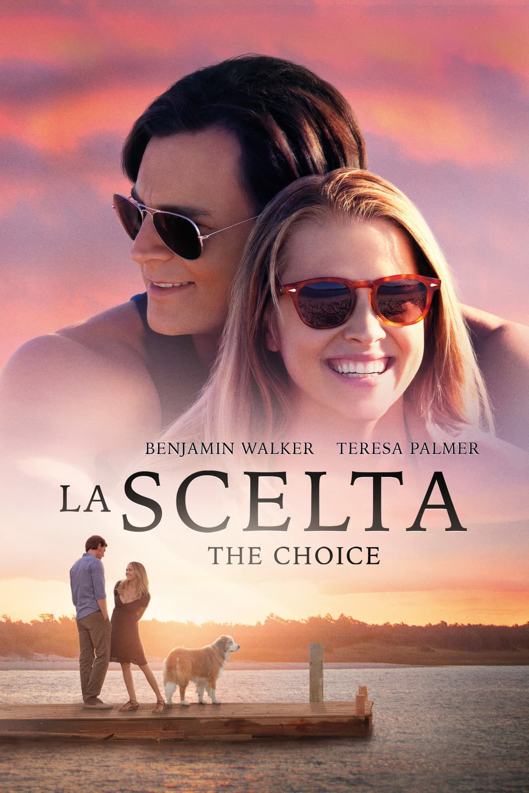 Poster di La scelta - The Choice