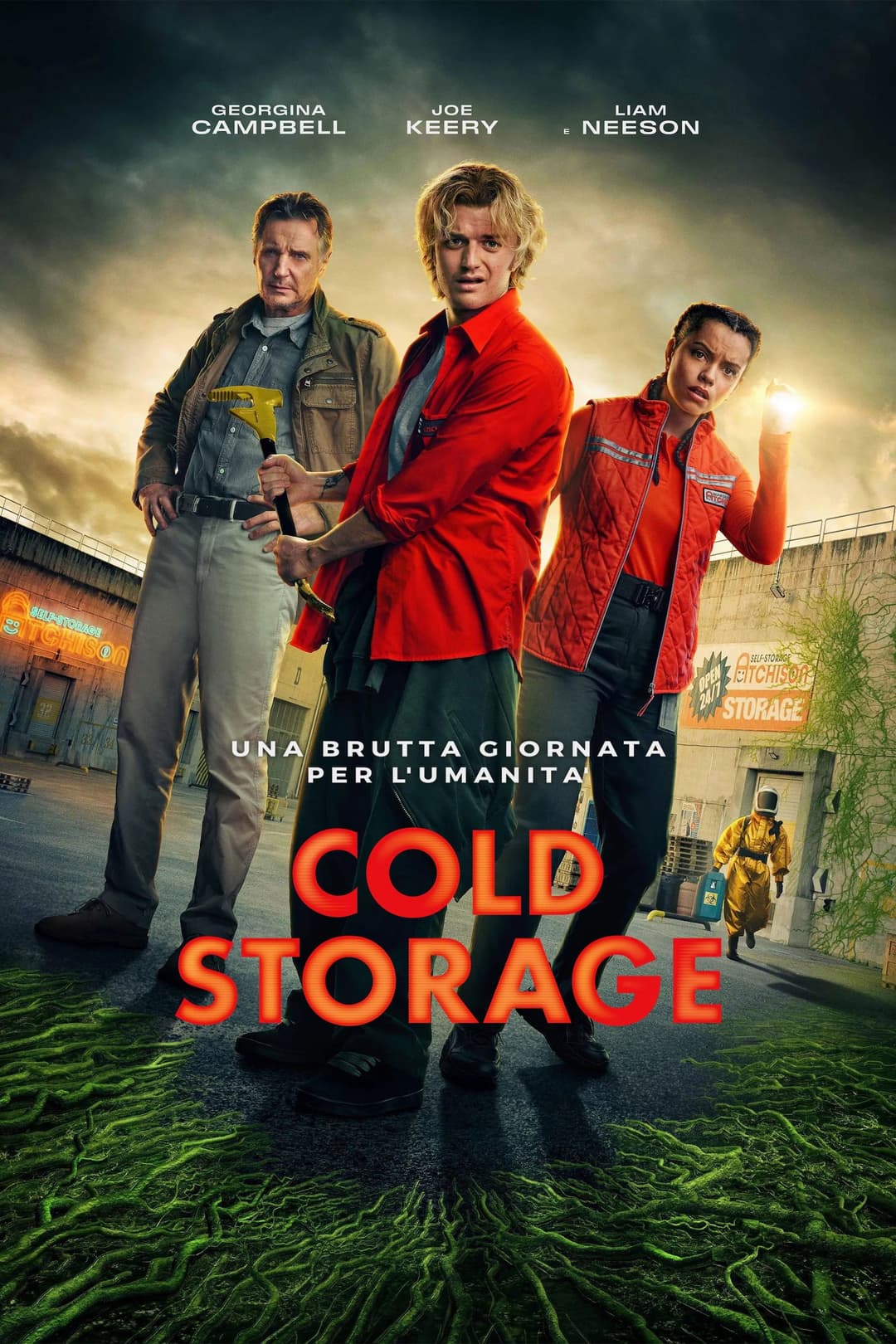 Poster di Cold Storage