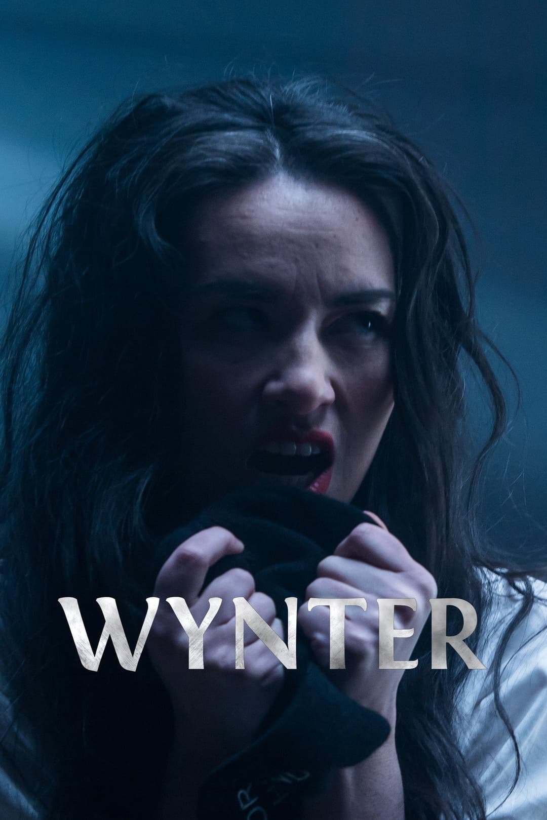 Poster di Wynter
